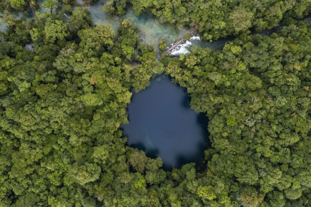 Cenotes de la Laguna Brava